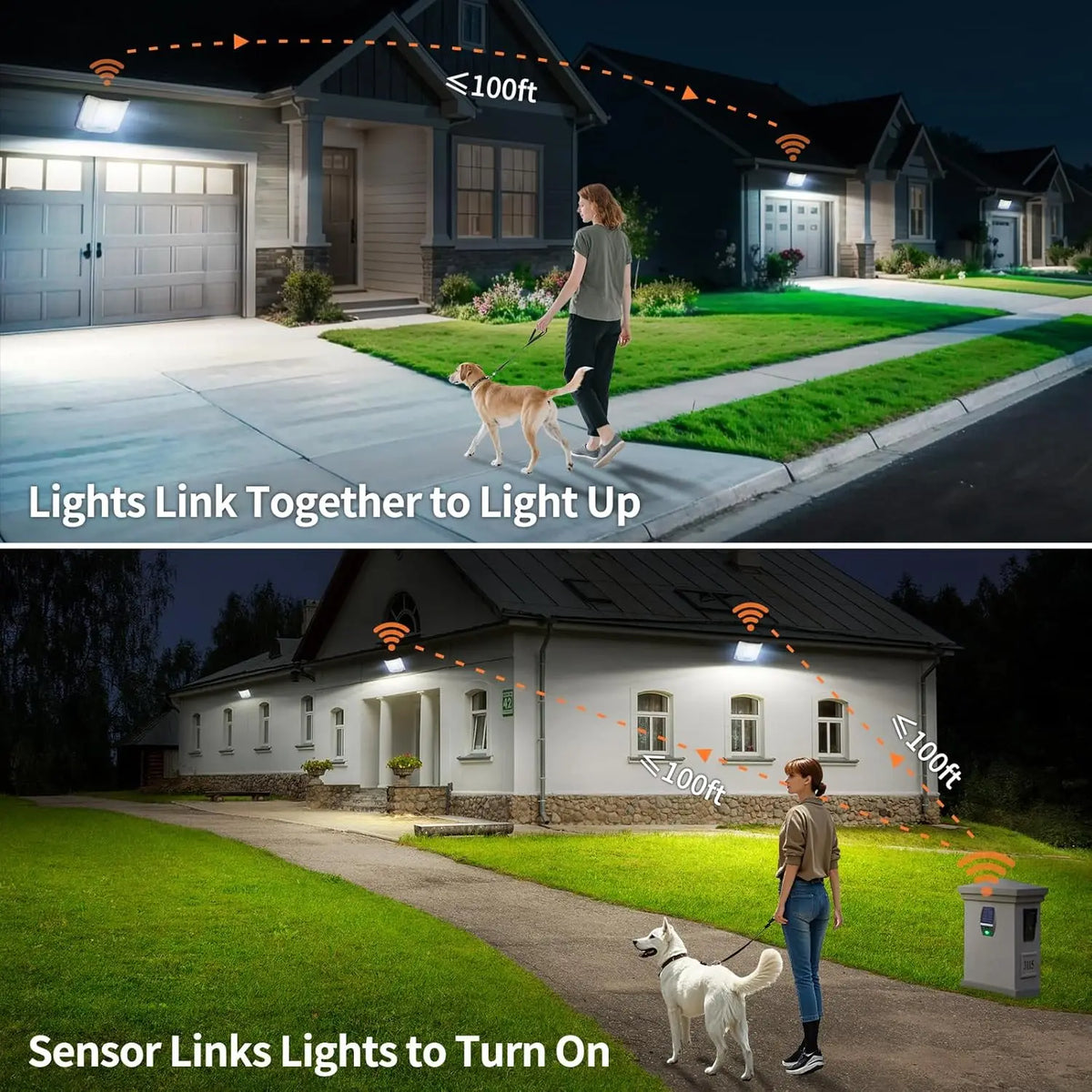 Intelamp Outdoor Solar Motion Sensor LED Flood Light